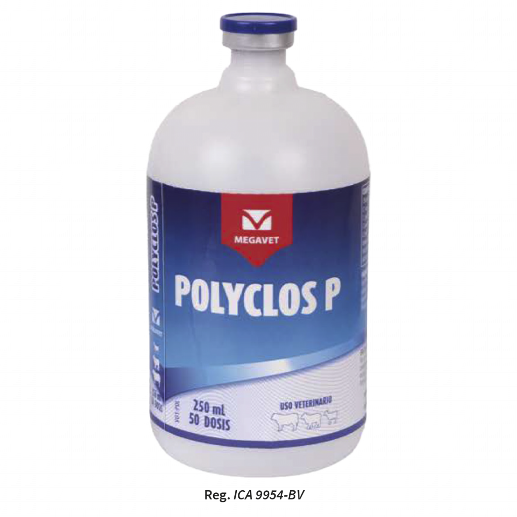 Polyclos p para prevencion producto megavet laboratorio veterinario bogota colombia